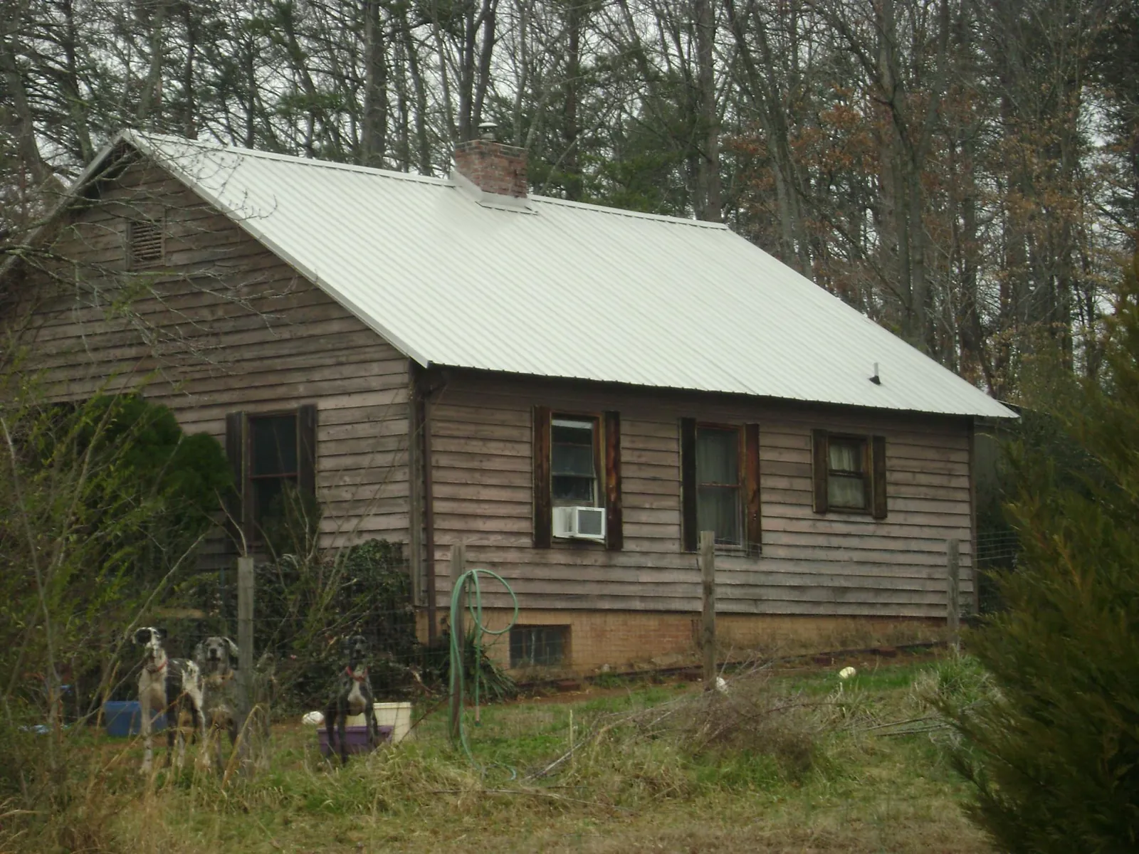 White metal roof on an old wood sided farmhouse, from a Asphalt Shingle Roof Repair job in Blackstone